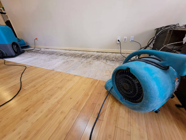 Professional Flood Damage Cleanup technician working in Spring Valley, NY